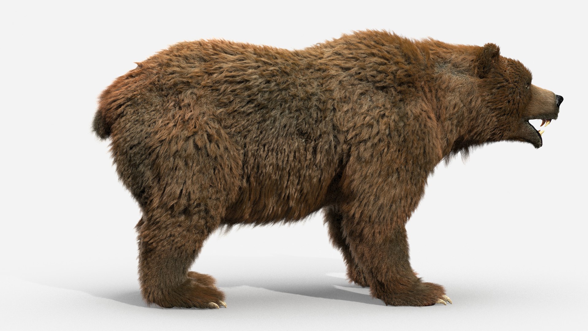 3D brown bear https://p.turbosquid.com/ts-thumb/5v/NLkmqG/Xpxlftmt/09/jpg/1563702300/1920x1080/fit_q87/d8fdb2f83a89f6036cf76a538896eeefe29bfdcb/09.jpg