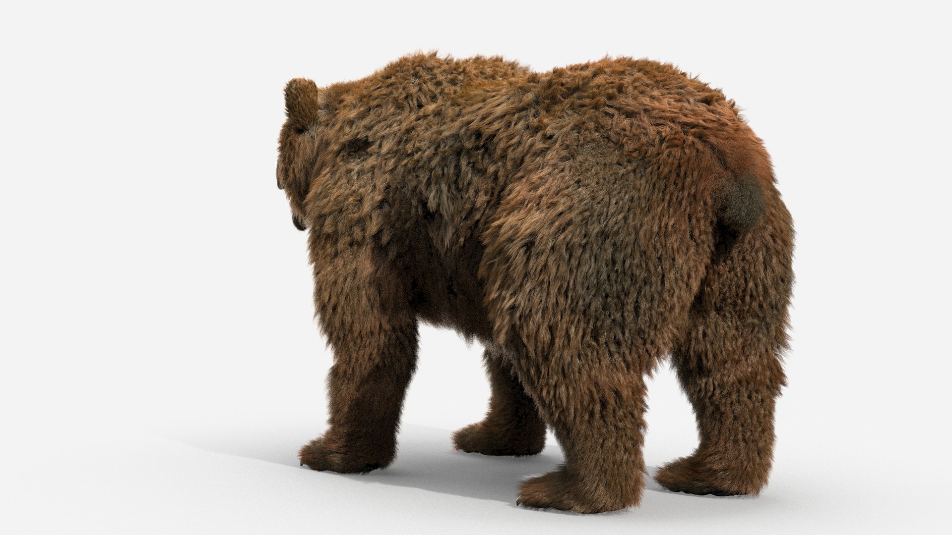 3D brown bear https://p.turbosquid.com/ts-thumb/5v/NLkmqG/alMQWVRM/06/jpg/1563694583/1920x1080/fit_q87/c748e969ed5ac5cab43ab6471ace448a7b731fa8/06.jpg