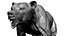 Brown Bear