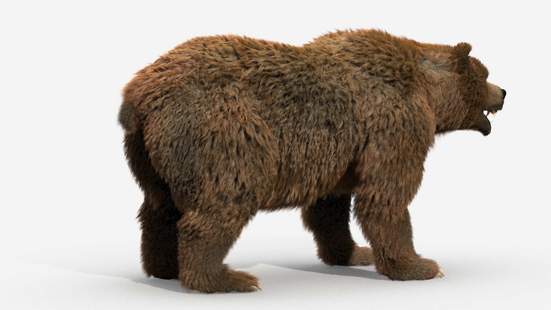 3D brown bear https://p.turbosquid.com/ts-thumb/5v/NLkmqG/ntlz64sn/08/jpg/1563697993/1920x1080/fit_q87/b3846911f20015619b1d4dac2de5b95f301705c7/08.jpg