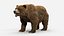 Brown Bear