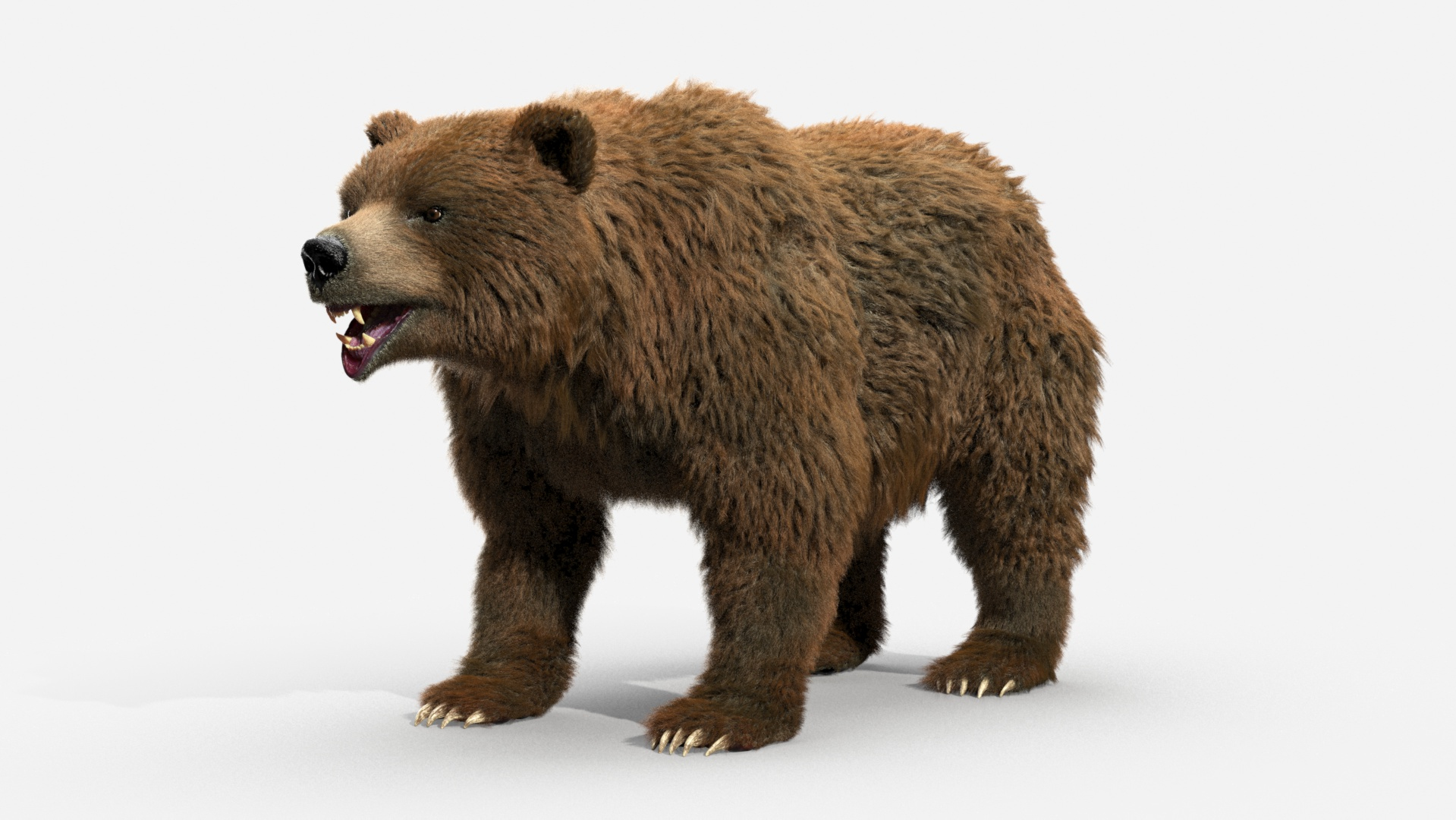 3D brown bear https://p.turbosquid.com/ts-thumb/5v/NLkmqG/pFM01dfT/t/jpg/1563991544/1920x1080/turn_fit_q99/e14c6a54e5546e46931ad75c39788213a3e9119e/t-1.jpg