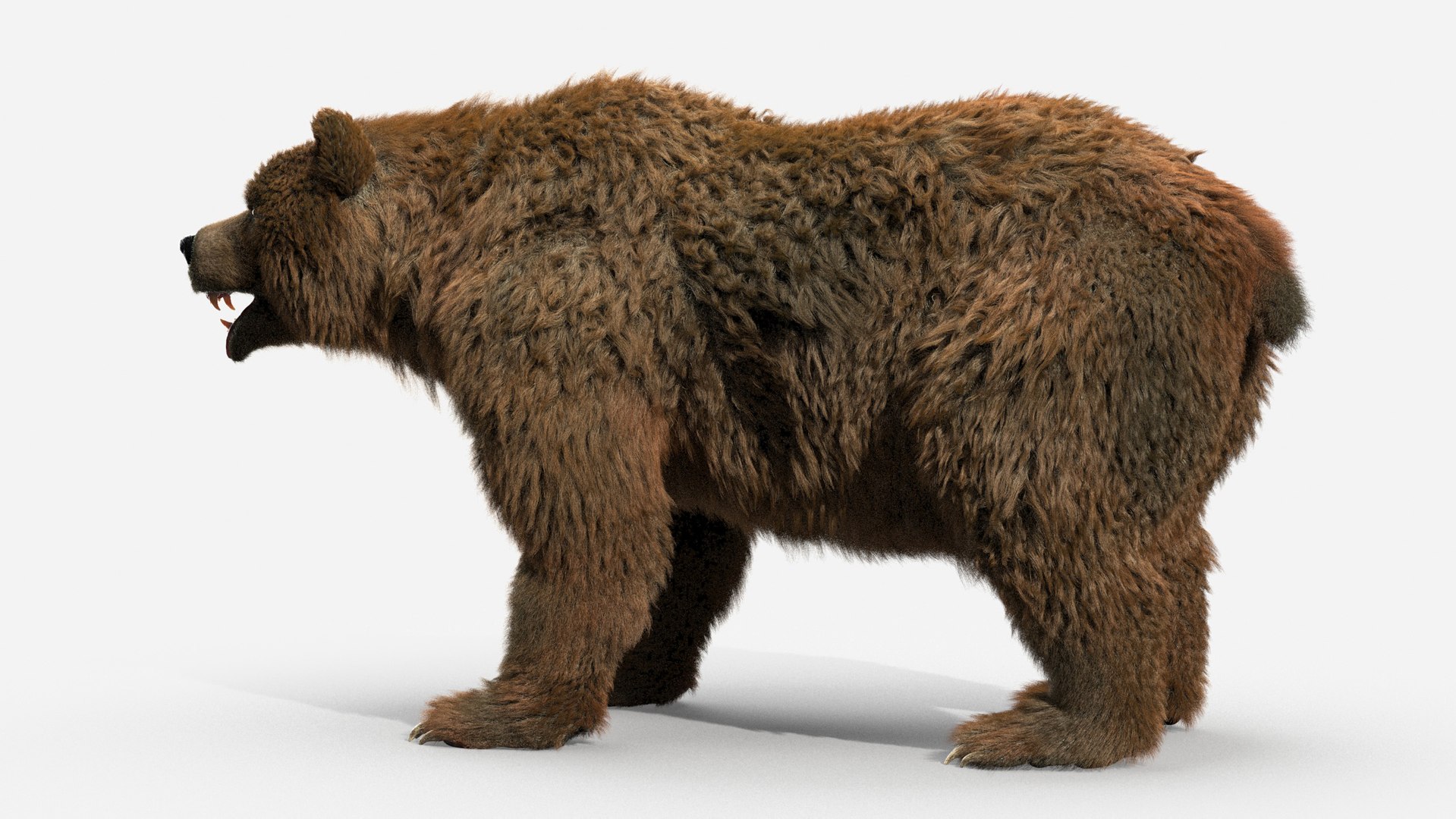 3D brown bear https://p.turbosquid.com/ts-thumb/5v/NLkmqG/qLMtCdMZ/05/jpg/1563693027/1920x1080/fit_q87/9404ffd29600e502ad0a1d3d9bc7ffd98ccbe980/05.jpg