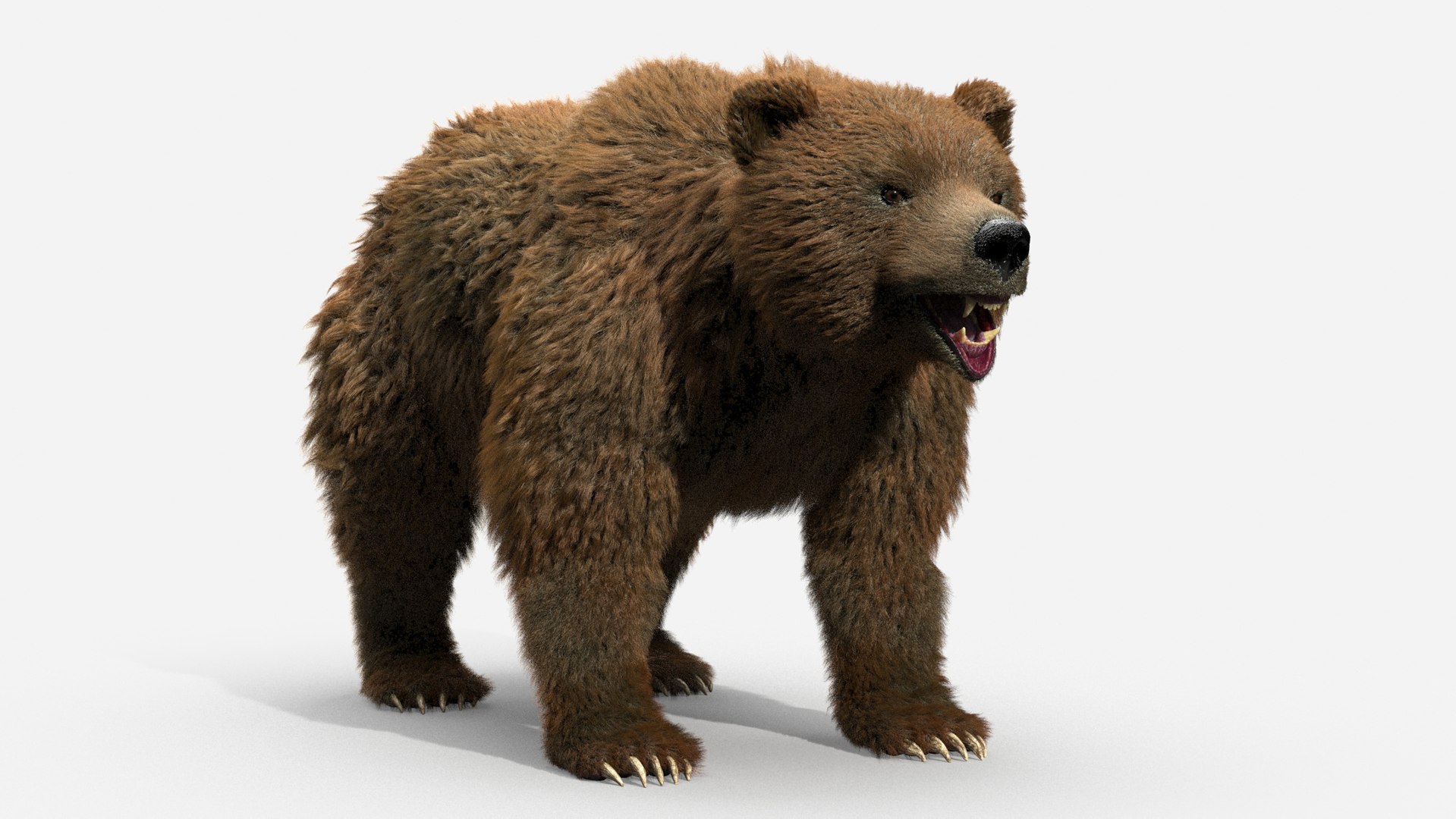 3D brown bear https://p.turbosquid.com/ts-thumb/5v/NLkmqG/y6v8SVAV/11/jpg/1563702300/1920x1080/fit_q87/7ba1d146e5feb182f4c74981da43c20c894b679d/11.jpg