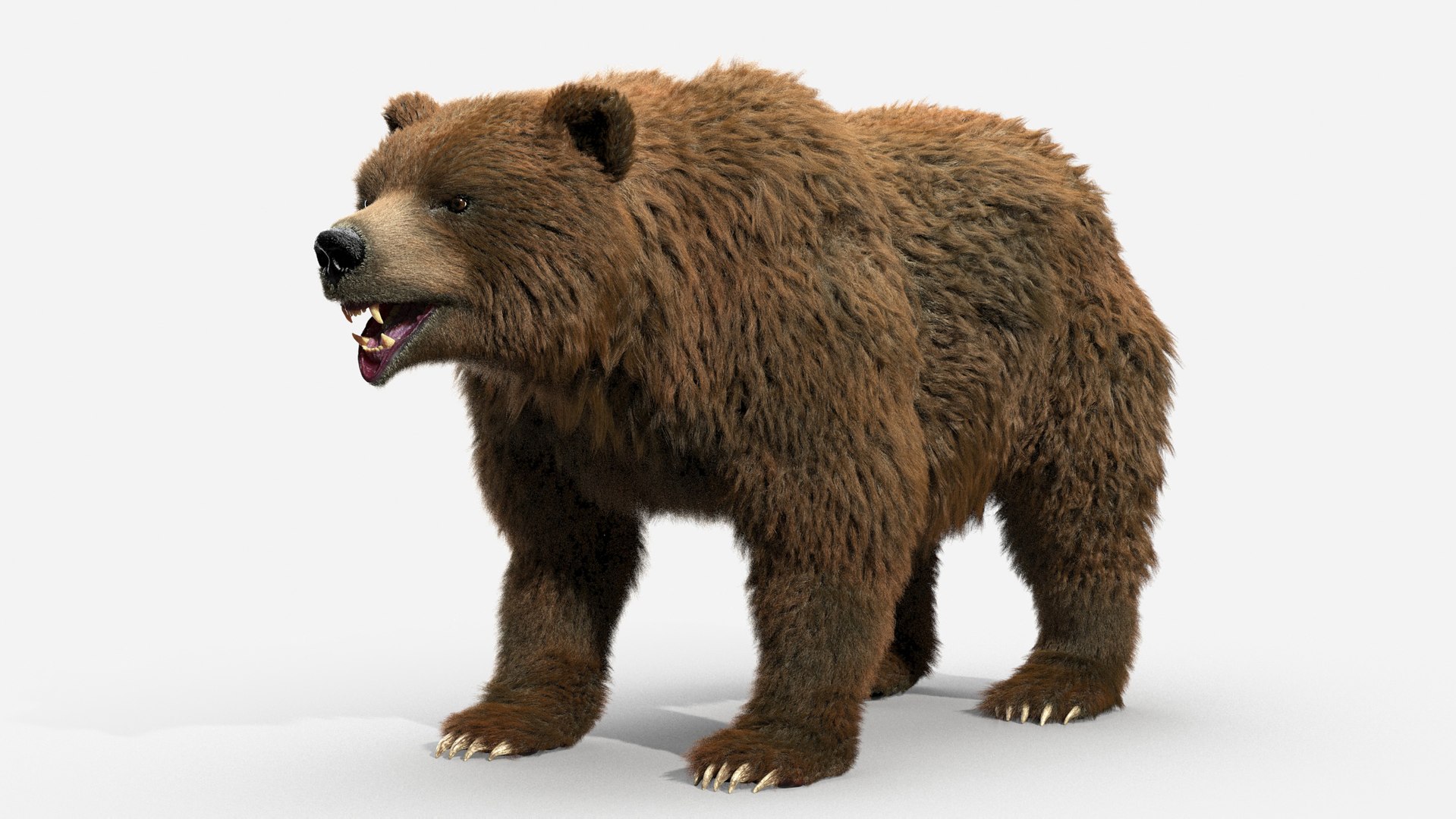 3D brown bear https://p.turbosquid.com/ts-thumb/5v/NLkmqG/zMBUiLfv/02.rgb_color/jpg/1563690408/1920x1080/fit_q87/033a6341f40056911e846256150bab224e5817a0/02.rgb_color.jpg