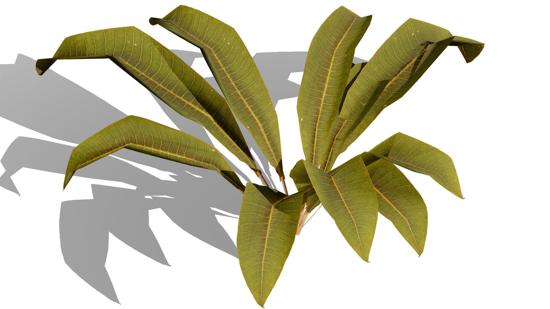 3D Tropical Foliage for Games and Archviz 3D model https://p.turbosquid.com/ts-thumb/5v/rebSZh/9l/tree7l/jpg/1760096412/1920x1080/fit_q87/e7af16ba5a6aa52a9430bceacbb1aacf252b70eb/tree7l.jpg