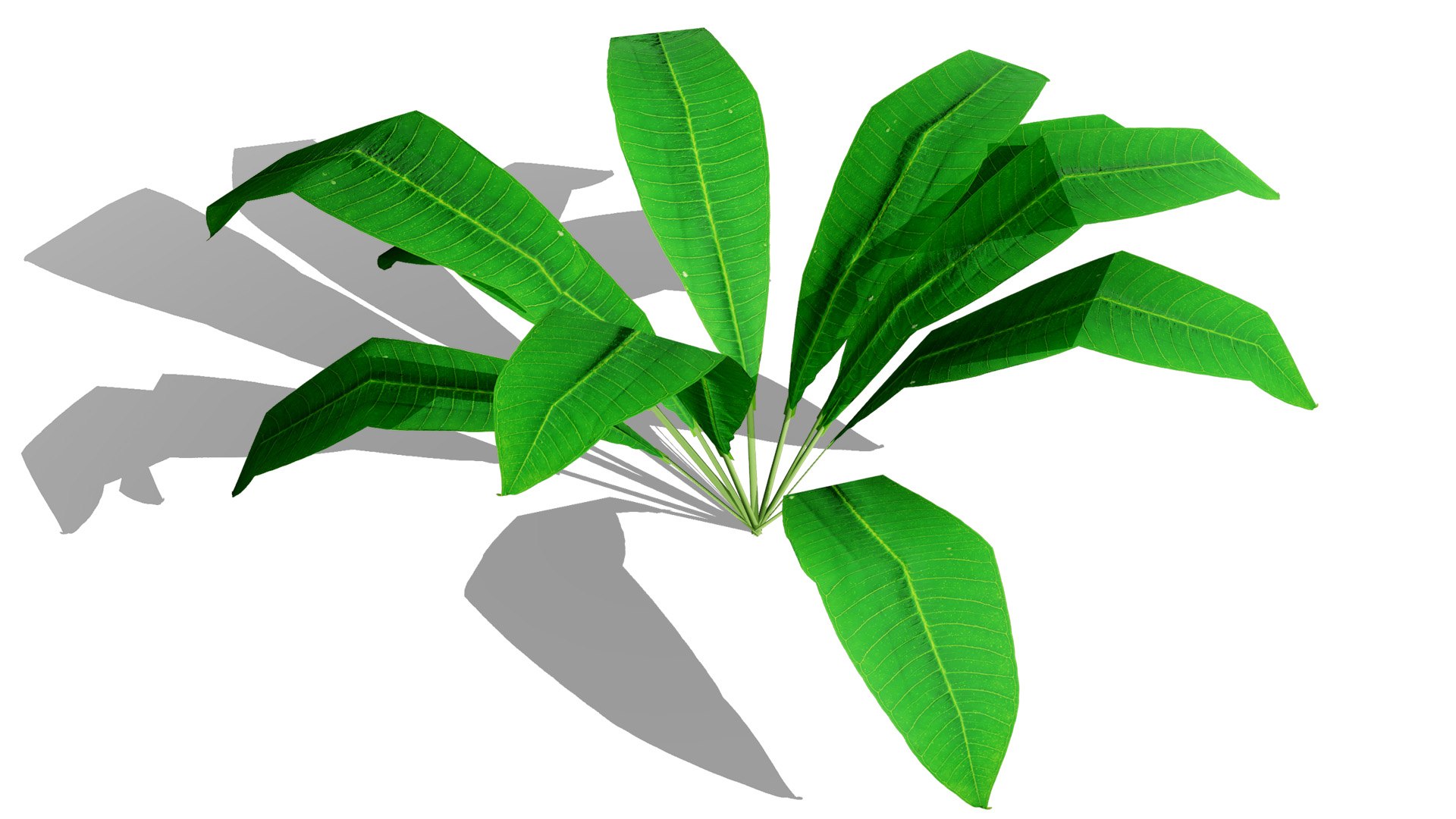 3D Tropical Foliage for Games and Archviz 3D model https://p.turbosquid.com/ts-thumb/5v/rebSZh/I9/tree5l/jpg/1760096406/1920x1080/fit_q87/e99b8e4aa13f35bdfd3ee7a44d7a27aac4e9552c/tree5l.jpg