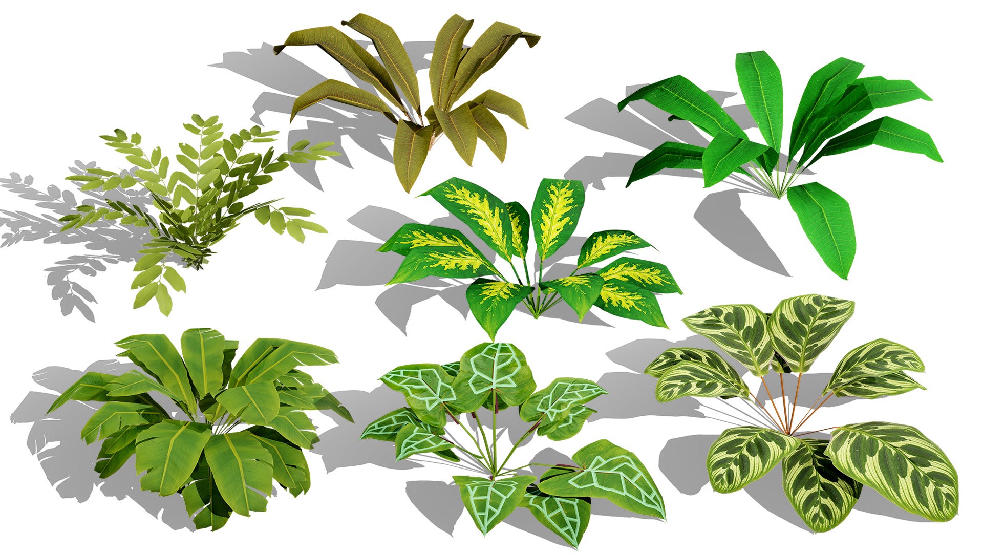 3D Tropical Foliage for Games and Archviz 3D model https://p.turbosquid.com/ts-thumb/5v/rebSZh/Mk/00artcovertree1/jpg/1760096397/1920x1080/fit_q87/6dc247e3597d1b019b56fdc3d1f332a578c499df/00artcovertree1.jpg