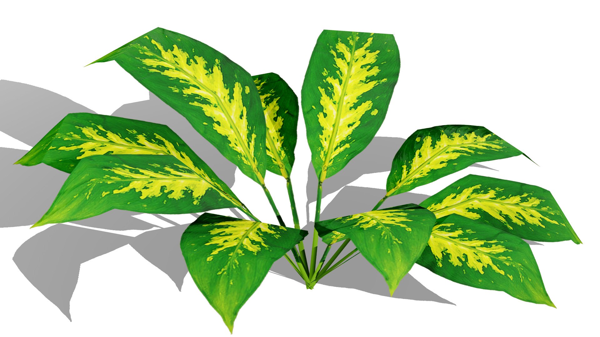 3D Tropical Foliage for Games and Archviz 3D model https://p.turbosquid.com/ts-thumb/5v/rebSZh/NZ/tree302l/jpg/1760096402/1920x1080/fit_q87/8b316b48c9e4253ed3466876feb0dcc55b3f6227/tree302l.jpg