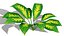 适用于游戏和建筑可视化的 3D 热带植物