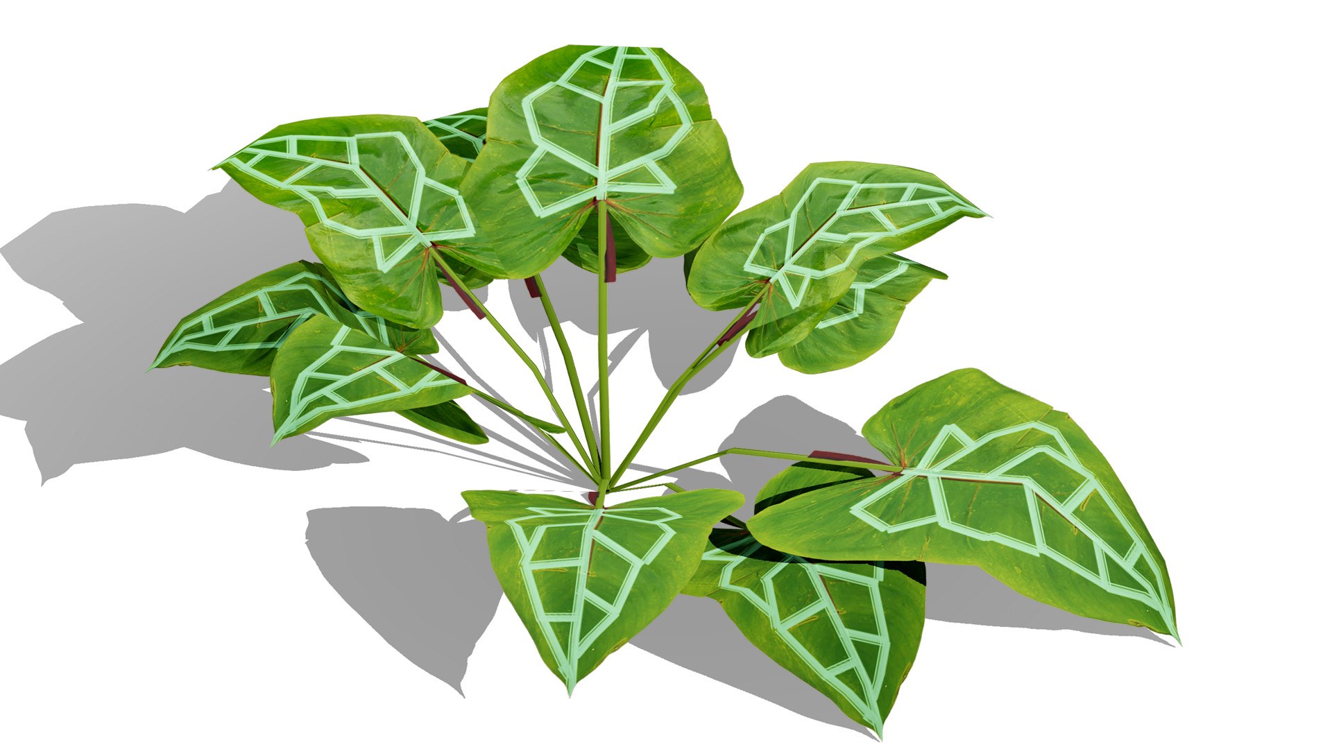 3D Tropical Foliage for Games and Archviz 3D model https://p.turbosquid.com/ts-thumb/5v/rebSZh/Qs/tree2l/jpg/1760096404/1920x1080/fit_q87/b63f95e0b7a81a79dc01ef90afe0fbc0312863a5/tree2l.jpg