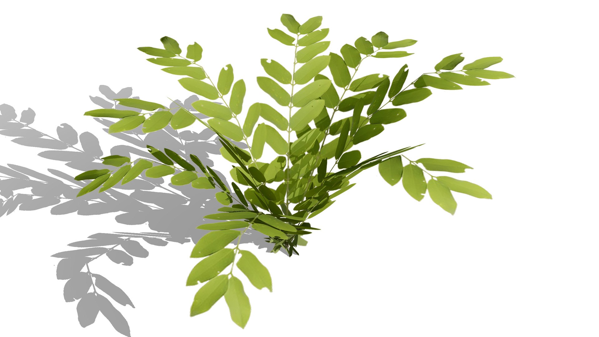 3D Tropical Foliage for Games and Archviz 3D model https://p.turbosquid.com/ts-thumb/5v/rebSZh/V7/tree6l/jpg/1760096408/1920x1080/fit_q87/76523260d71c69de9493691c19b08796e6610801/tree6l.jpg