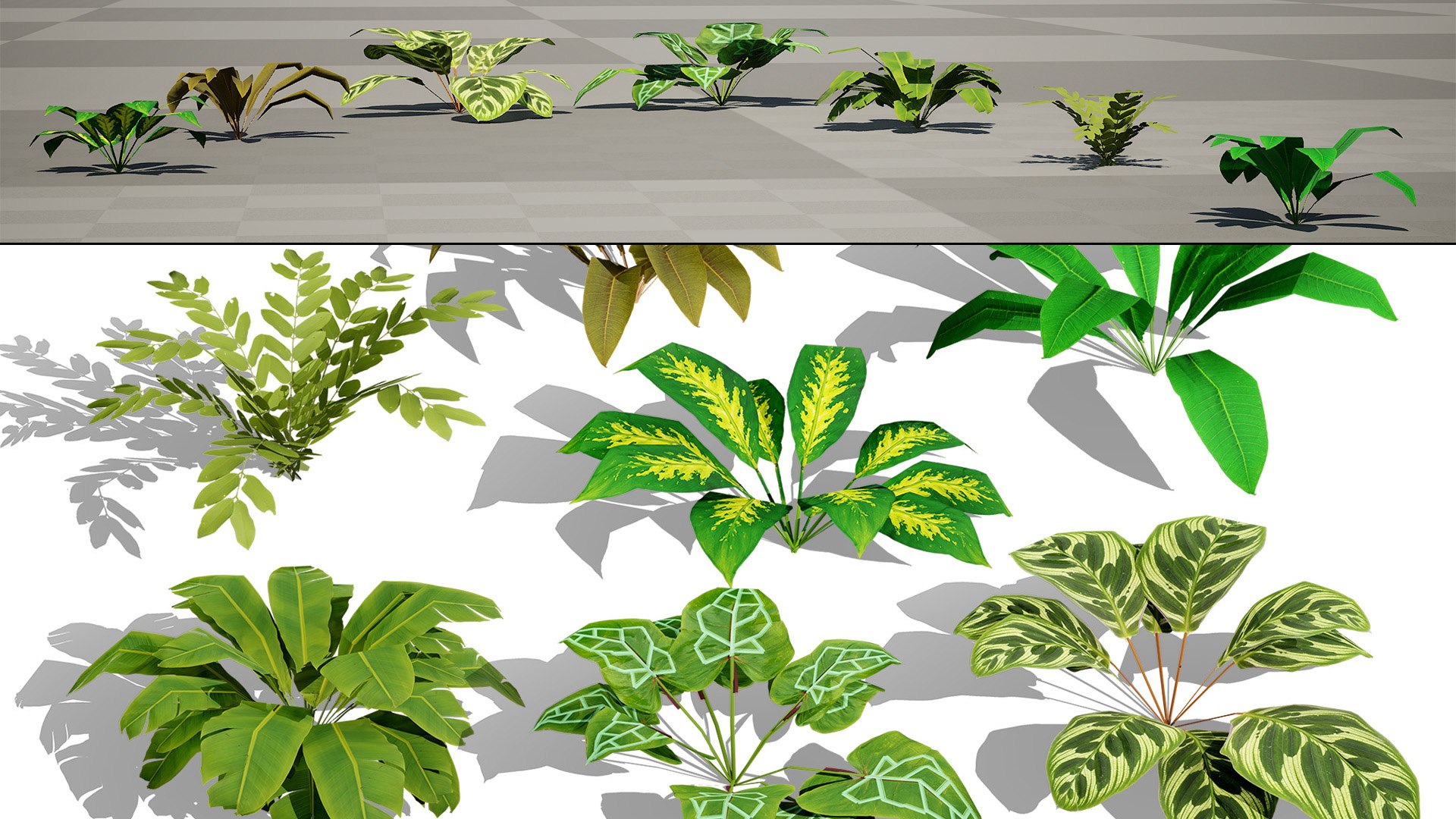 3D Tropical Foliage for Games and Archviz 3D model https://p.turbosquid.com/ts-thumb/5v/rebSZh/x6/zhighresscreenshot000001/jpg/1760096416/1920x1080/fit_q87/e413ef70f456ce203ca9eb7e70125880c3120202/zhighresscreenshot000001.jpg
