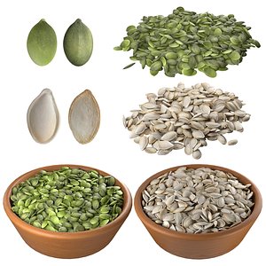 3D model Pumpkin seed collection