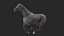 Galope caballo negro