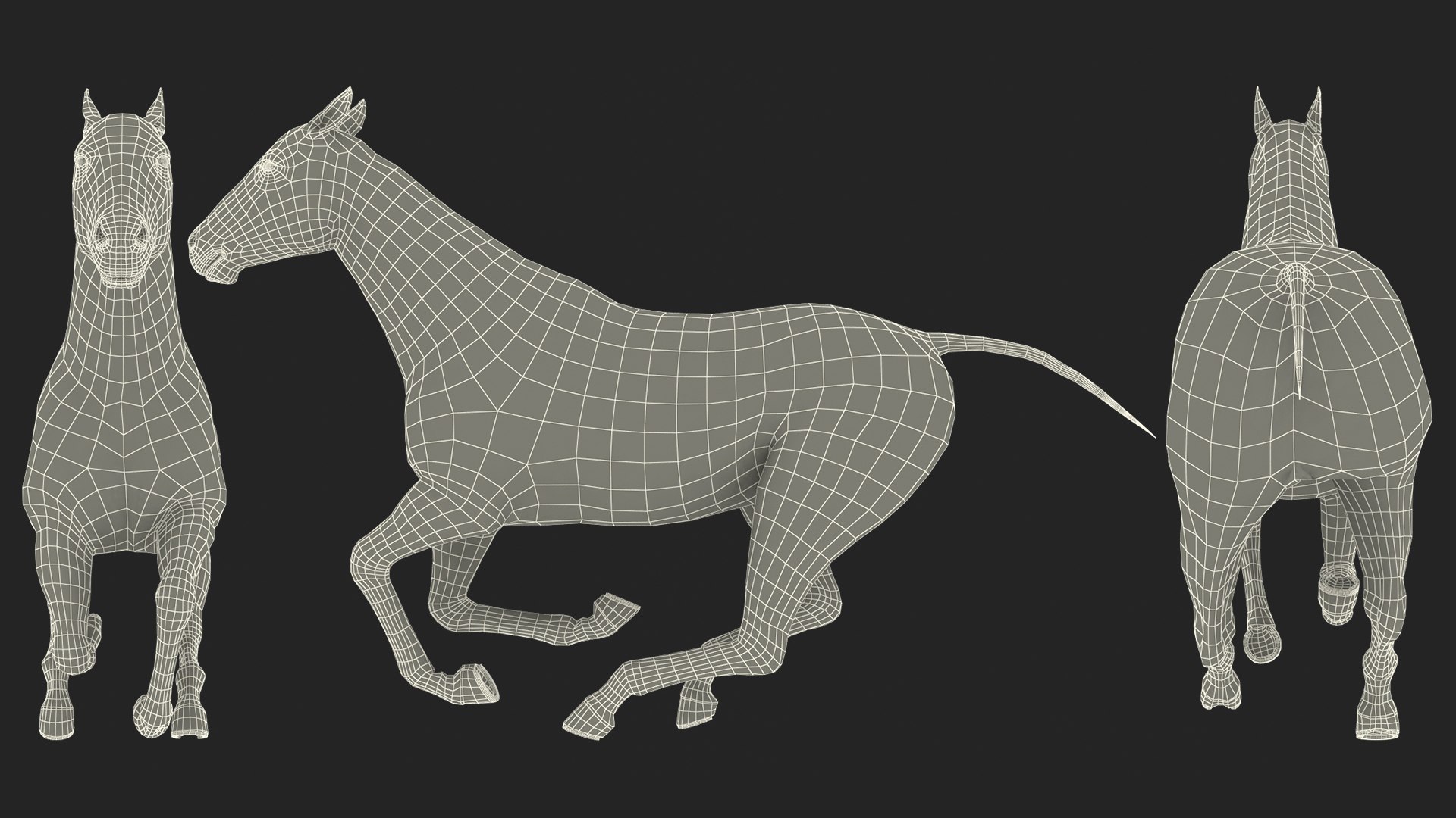 gallop black horse 3D model https://p.turbosquid.com/ts-thumb/5w/16Fy6b/CjH2lZCn/gallopblackhorsec4dmodel023/jpg/1572338697/1920x1080/fit_q87/615c8b75153c7d0aa31fac27d896cabd511849af/gallopblackhorsec4dmodel023.jpg