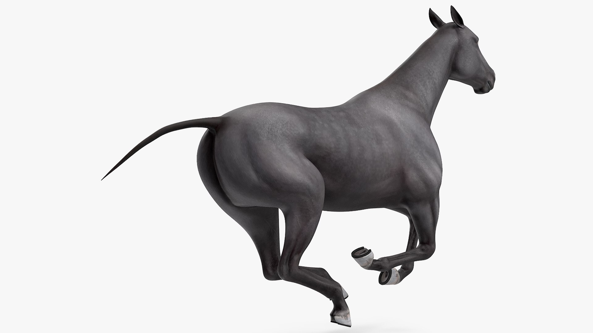 gallop black horse 3D model https://p.turbosquid.com/ts-thumb/5w/16Fy6b/ElHJAHSO/gallopblackhorsec4dmodel004/jpg/1572338589/1920x1080/fit_q87/7b44f35ad3532ba83fddc36b12d1694affd81c7b/gallopblackhorsec4dmodel004.jpg