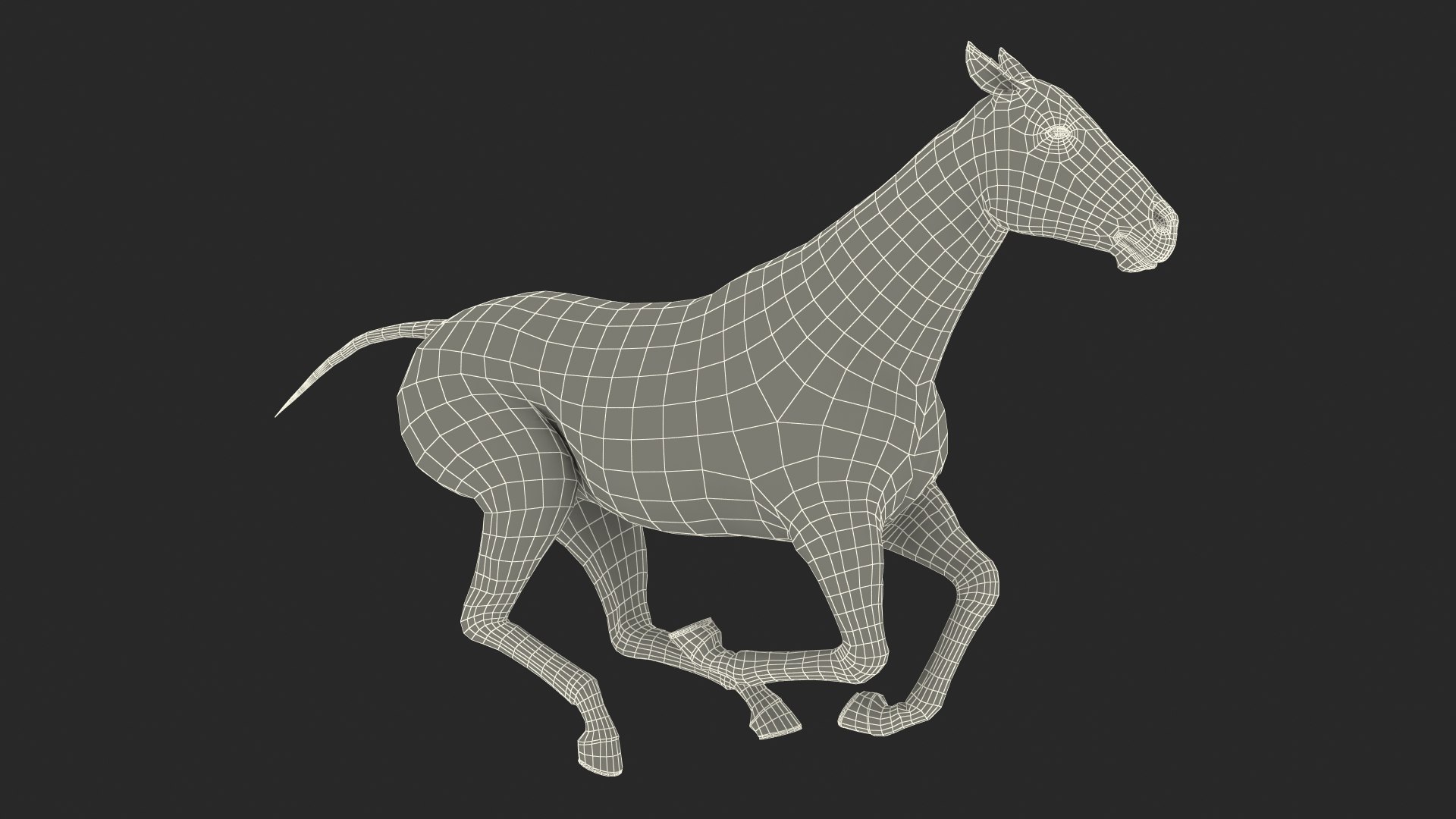 gallop black horse 3D model https://p.turbosquid.com/ts-thumb/5w/16Fy6b/IypzNolO/gallopblackhorsec4dmodel024/jpg/1572338703/1920x1080/fit_q87/014e51757066727595b3b970e9b1641325f9c357/gallopblackhorsec4dmodel024.jpg