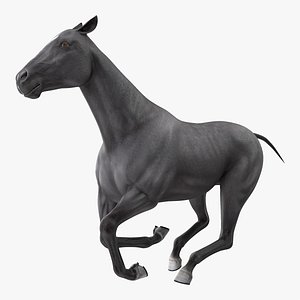 gallop black horse 3D model