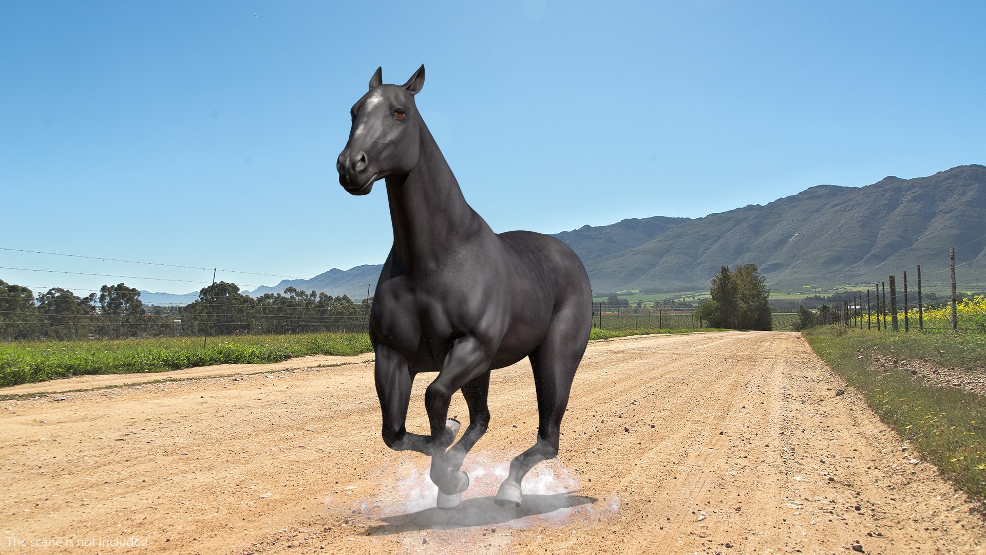gallop black horse 3D model https://p.turbosquid.com/ts-thumb/5w/16Fy6b/crruxIQ3/gallopblackhorsec4dmodel002/jpg/1572338578/1920x1080/fit_q87/13f6cf6533fd85cacc173f5f795ccc22c56cdc3d/gallopblackhorsec4dmodel002.jpg