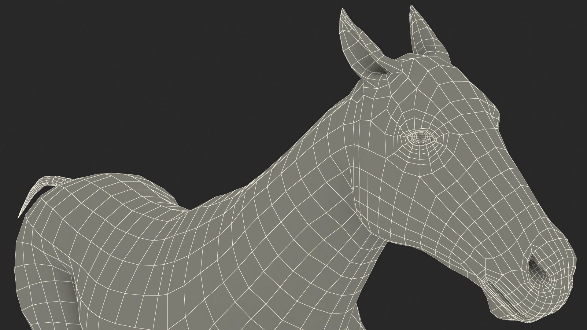 gallop black horse 3D model https://p.turbosquid.com/ts-thumb/5w/16Fy6b/gbzC5tdN/gallopblackhorsec4dmodel026/jpg/1572338714/1920x1080/fit_q87/d371aacfd85f7bcdca0d6f508f427e7dbd065f5d/gallopblackhorsec4dmodel026.jpg