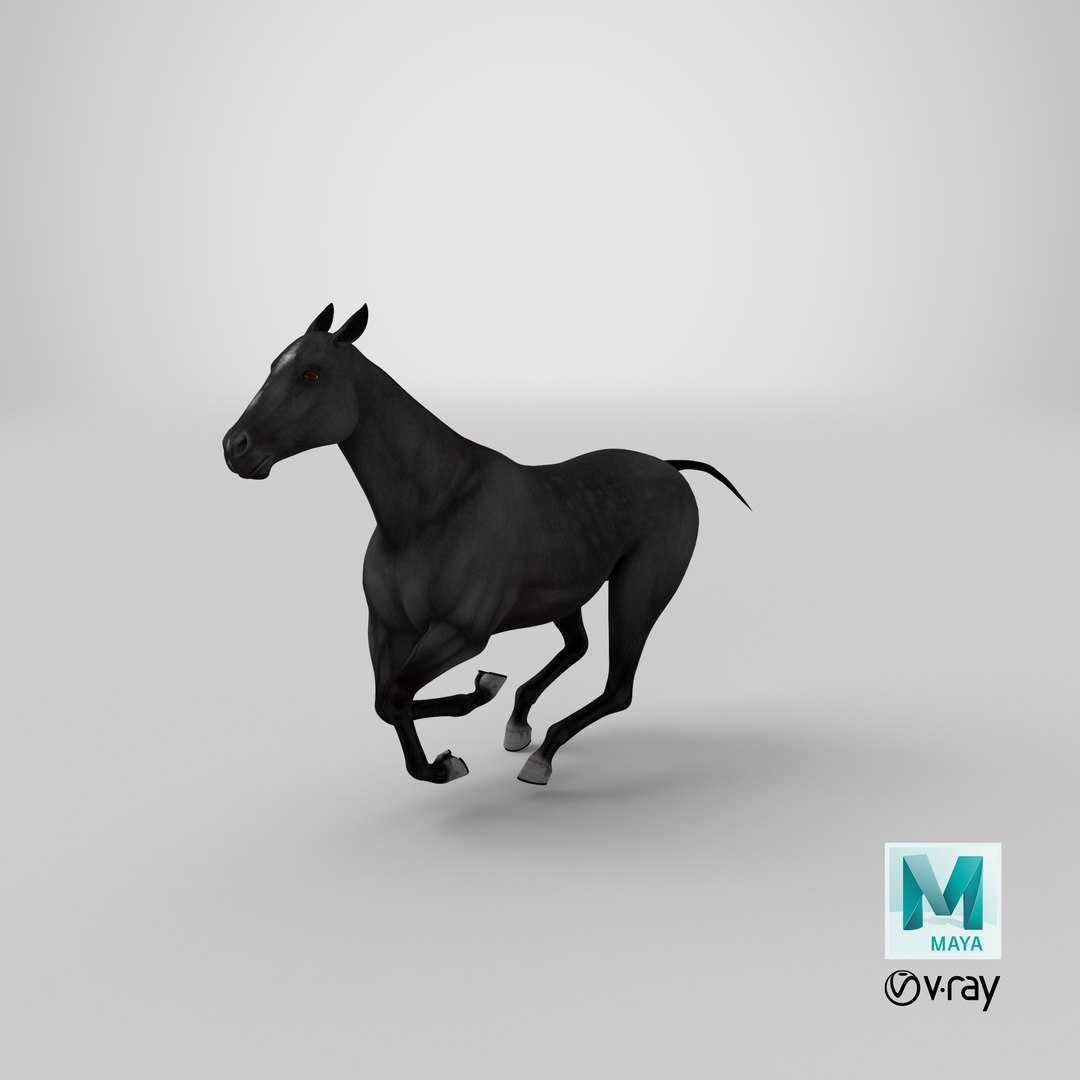 gallop black horse 3D model https://p.turbosquid.com/ts-thumb/5w/16Fy6b/hA/stemcell_maya_vray_render/png/1648559182/1920x1080/fit_q87/138933b4d17c621dd8deb42001436e875f3288db/stemcell_maya_vray_render.jpg
