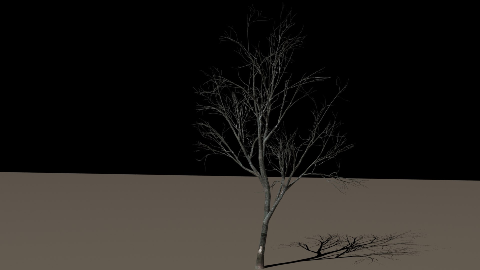 Tree Autumn 3d Model