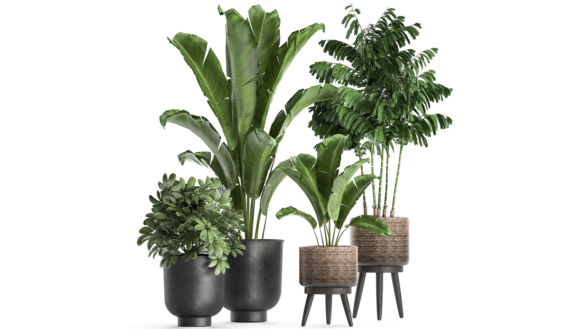 3D Plants Interior Pots Planter Model - TurboSquid 1701109