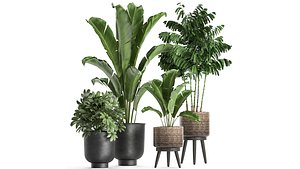 3D plants interior pots planter model