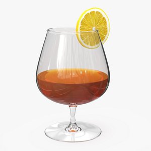 Cognac Glass with Citrus Garnish 3D
