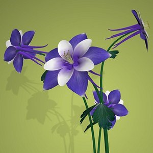 columbine flower pot pl 3d 3ds