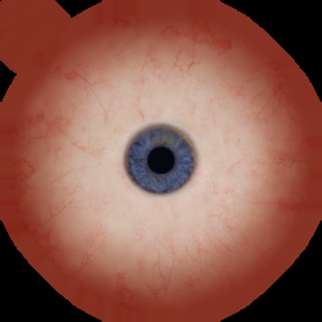 HGBody002 3D model https://p.turbosquid.com/ts-thumb/5w/SPjqTG/EL/hg_francisco_eyes_basecolor_basecolor/png/1656599098/1920x1080/fit_q87/f6022d5e852608f0c752f9610f5aae546fa15dfe/hg_francisco_eyes_basecolor_basecolor.jpg