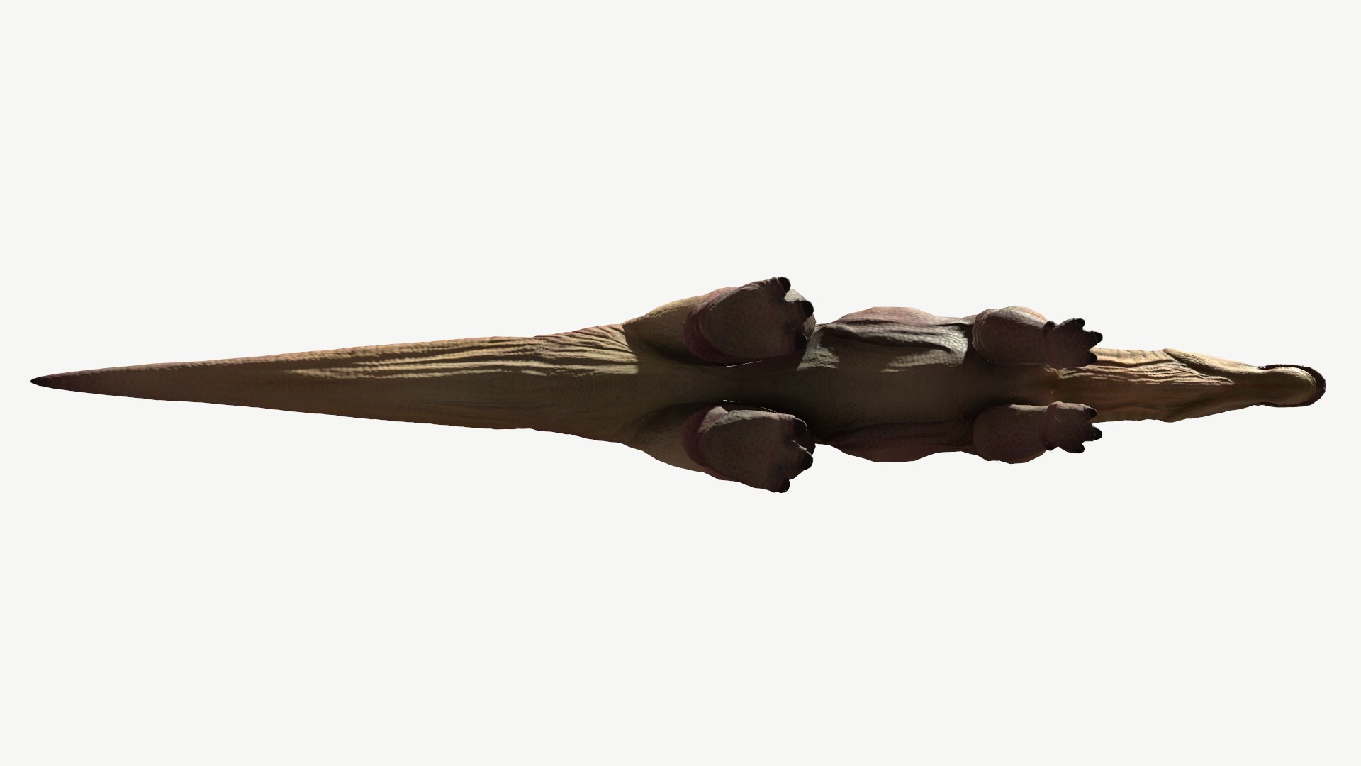 3D edmontosaurus https://p.turbosquid.com/ts-thumb/5w/Sq1VB8/6H/6/png/1728369963/1920x1080/fit_q87/70457e4295f86745bbd8f42cced80e3b51c69613/6.jpg