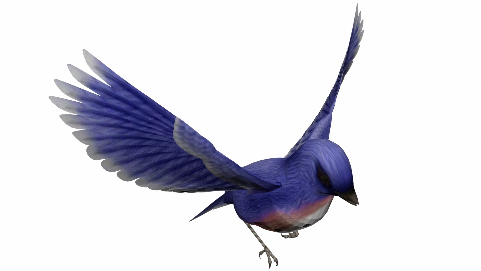 Blue Bird Model - TurboSquid 1672249