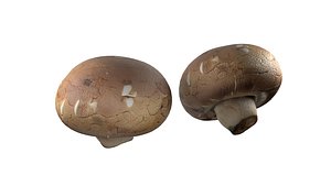 Mushroom 20 model