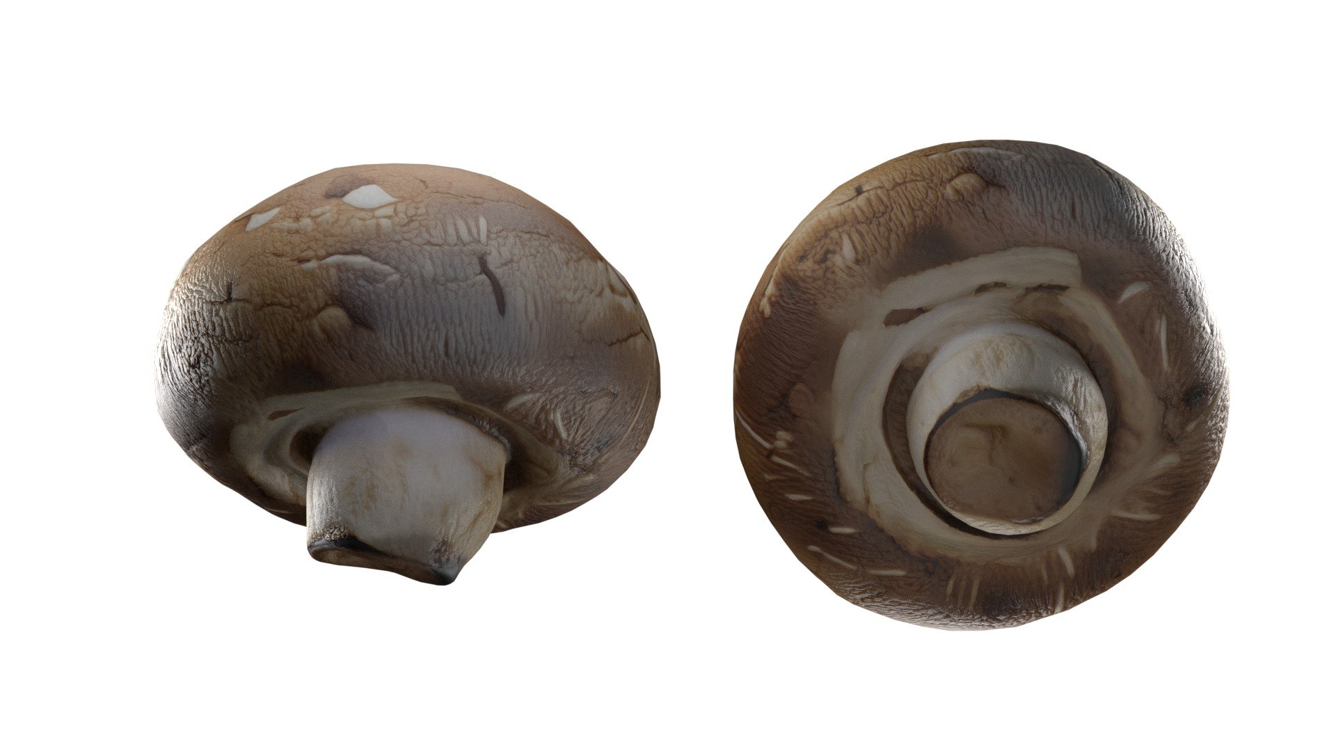 Mushroom 20 model https://p.turbosquid.com/ts-thumb/5w/fAn1Rz/uy/4/jpg/1743330103/1920x1080/fit_q87/a6641c6e40a0f61ce5dbceb19bd90f1daeabf8e8/4.jpg