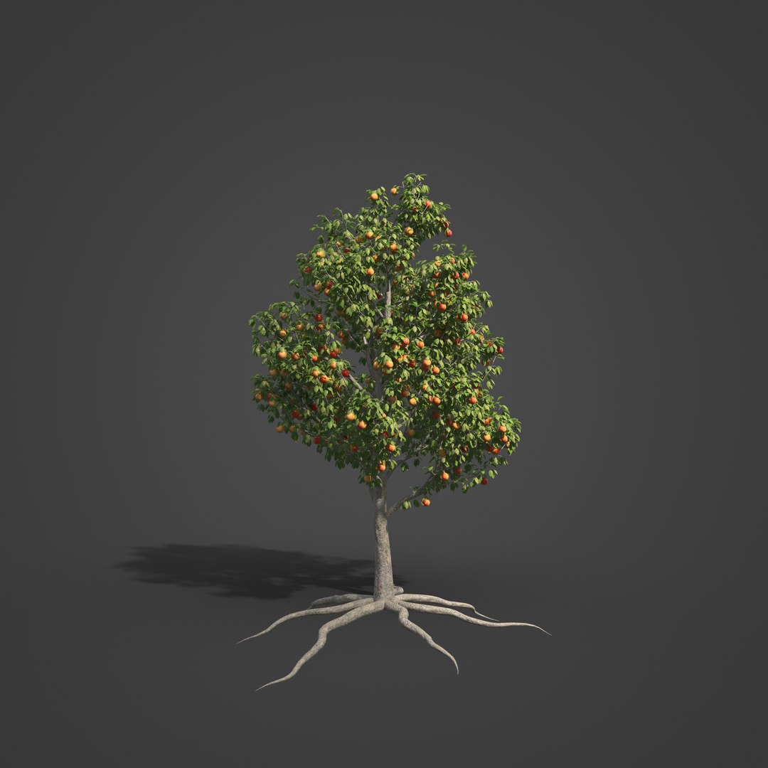 2021 PBR Apple Tree Collection - Malus Domestica 3D model https://p.turbosquid.com/ts-thumb/5w/y2PAmB/0l/bs07_02/jpg/1624635957/1920x1080/fit_q87/ef71d84810da6ed44e87549d376d8b7a4a315fb3/bs07_02.jpg
