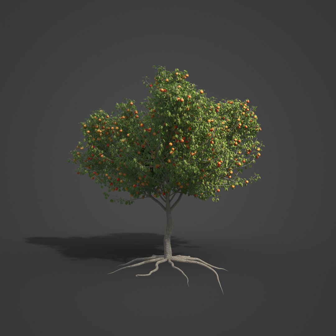 2021 PBR Apple Tree Collection - Malus Domestica 3D model https://p.turbosquid.com/ts-thumb/5w/y2PAmB/gi/bs07_03/jpg/1624635957/1920x1080/fit_q87/242780e09bfe6a851cfd846b2d65820045766fa2/bs07_03.jpg