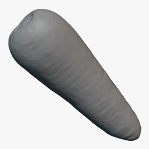 3D Fresh Carrot 01 - For 3D Print model