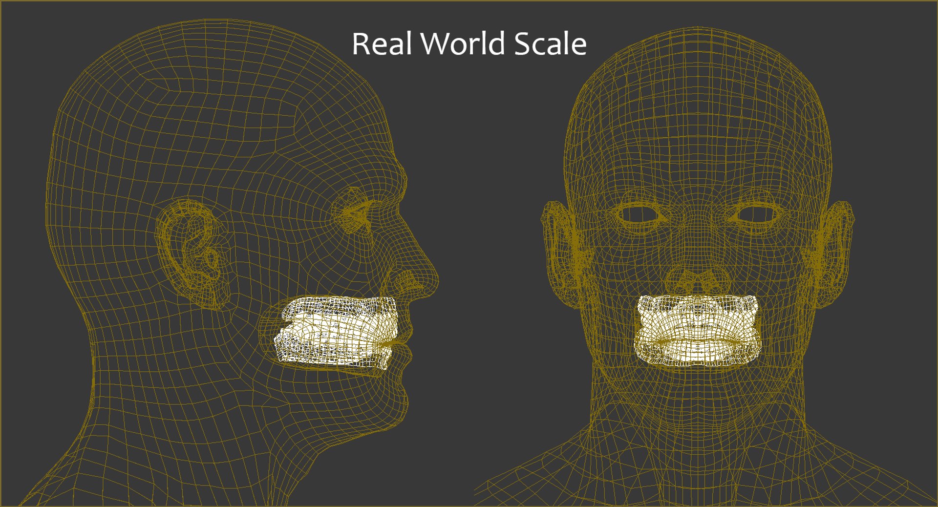 3D model human teeth https://p.turbosquid.com/ts-thumb/5x/15Xrxl/qxAq6iqn/teeth_scale/jpg/1544282872/1920x1080/fit_q87/64ba2d7f50ec7c7f7073d7e4aa6c69672110c531/teeth_scale.jpg