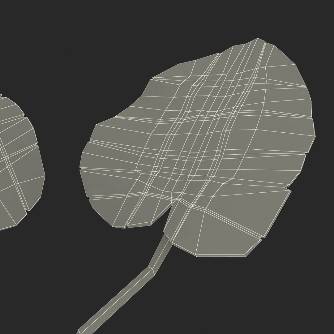 3d model of aquarium banana plant nymphoides https://p.turbosquid.com/ts-thumb/5x/1nvWQB/K4TcK8k7/bananaplantnymphoidesaquatica_15/jpg/1402645480/1920x1080/fit_q87/206edc98318092ec61f5351508ce7737f6e87cbc/bananaplantnymphoidesaquatica_15.jpg