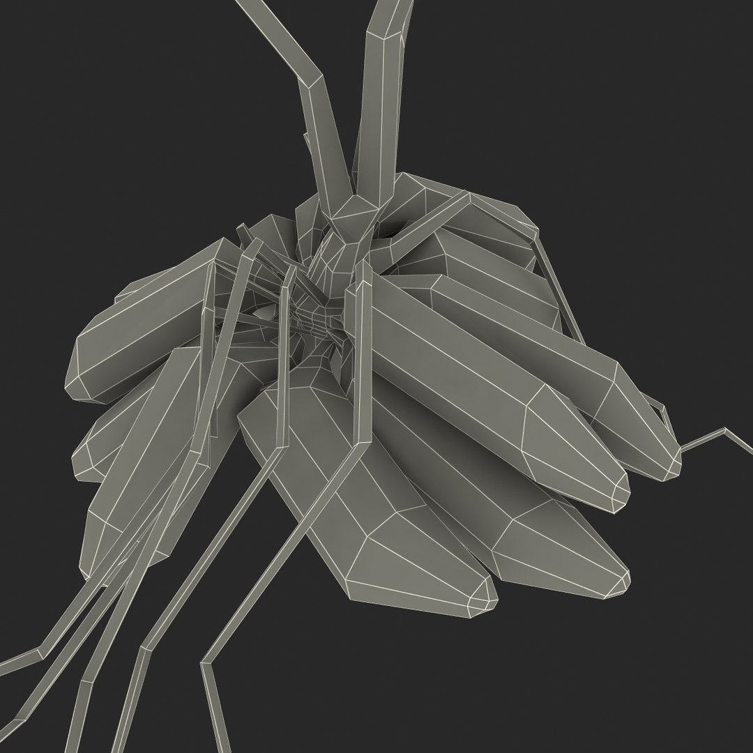 3d model of aquarium banana plant nymphoides https://p.turbosquid.com/ts-thumb/5x/1nvWQB/WC03chGM/bananaplantnymphoidesaquatica_14/jpg/1402645468/1920x1080/fit_q87/98b74ac4587b1bee739945ecaa4e0f97268a840e/bananaplantnymphoidesaquatica_14.jpg