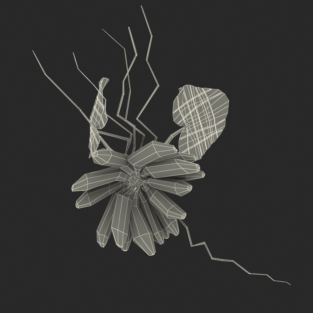 3d model of aquarium banana plant nymphoides https://p.turbosquid.com/ts-thumb/5x/1nvWQB/ZfY2GQt2/bananaplantnymphoidesaquatica_12/jpg/1402645474/1920x1080/fit_q87/b13b917f9971d87a95a2aa92af05197b40e6e5a3/bananaplantnymphoidesaquatica_12.jpg