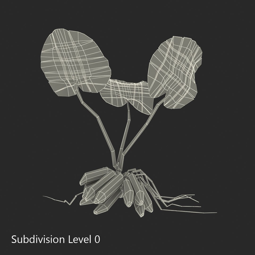3d model of aquarium banana plant nymphoides https://p.turbosquid.com/ts-thumb/5x/1nvWQB/hDoSRwtg/bananaplantnymphoidesaquatica_17/jpg/1402645488/1920x1080/fit_q87/6ad502eec487b2b0b2a14d2fb23253f1fc431975/bananaplantnymphoidesaquatica_17.jpg