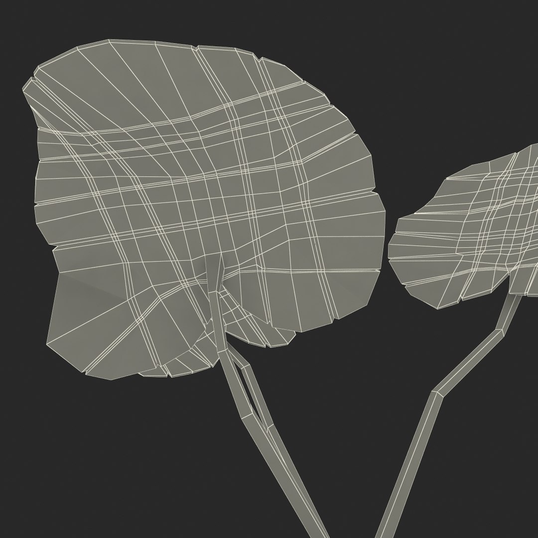 3d model of aquarium banana plant nymphoides https://p.turbosquid.com/ts-thumb/5x/1nvWQB/ipJvj3ka/bananaplantnymphoidesaquatica_16/jpg/1402645472/1920x1080/fit_q87/5514fc0d5f8a14482f33cf4cd86926ccfde5c007/bananaplantnymphoidesaquatica_16.jpg