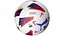 Puma LaLiga Soccer Ball model
