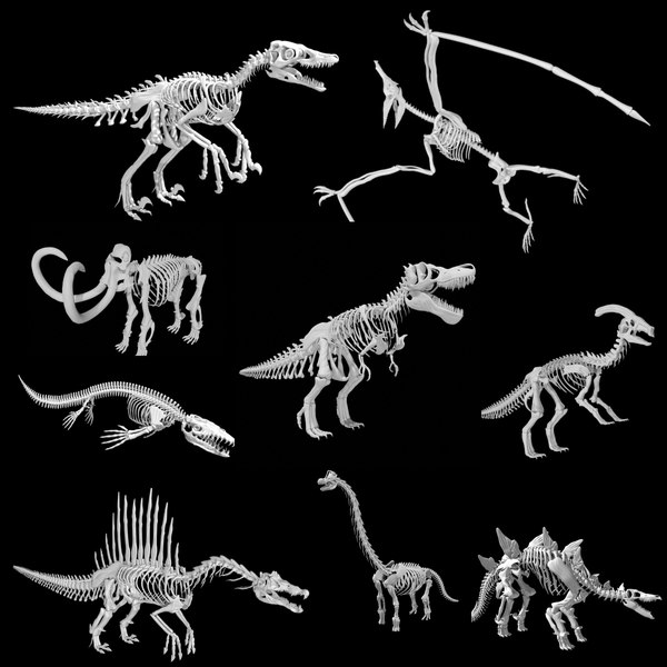 Esqueleto de dinossauro em AutoCAD, Baixar CAD (63.22 KB)