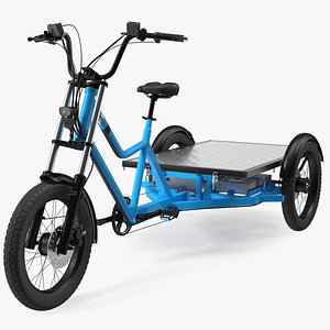 Commercial Grade Electric Trike with  Flatbed Rigged