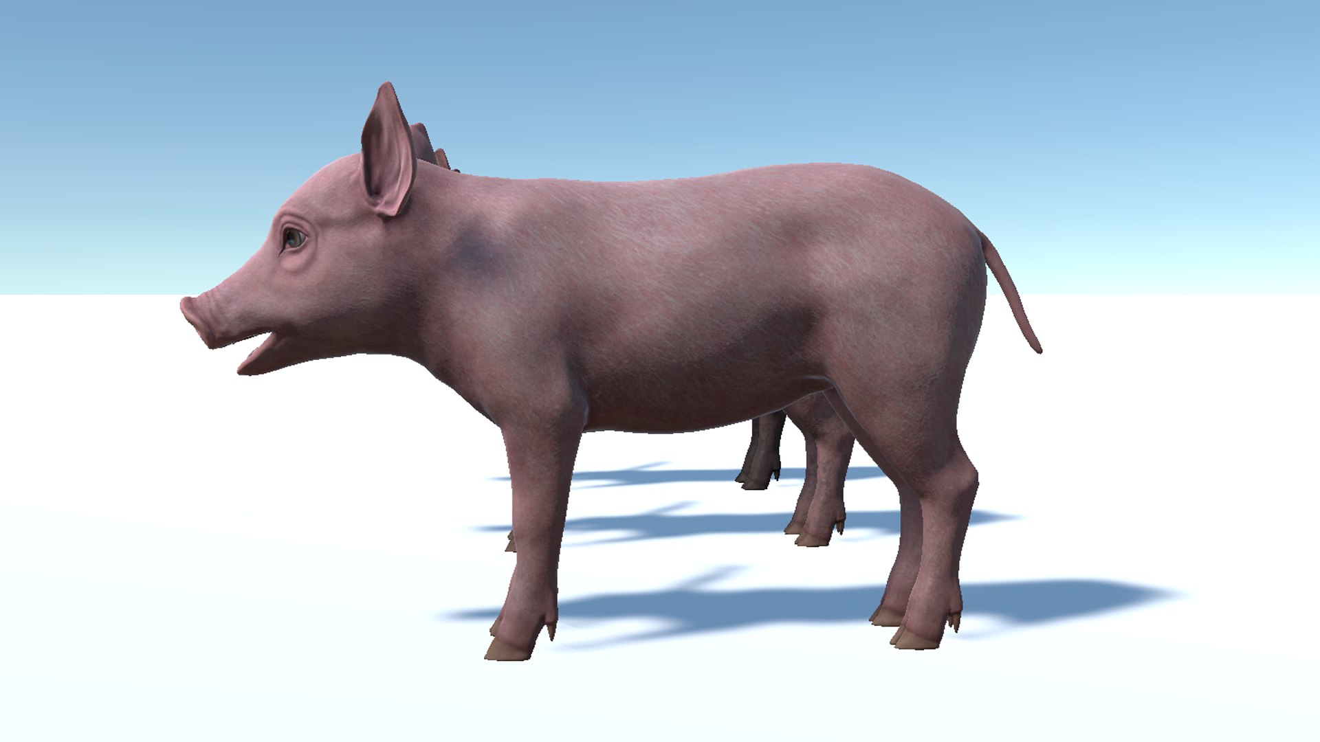 3D Piglet https://p.turbosquid.com/ts-thumb/5x/O2fe0h/AN/11/png/1745853969/1920x1080/fit_q87/79358e7d91befabcd155f2f3de9ce55b3c589945/11.jpg