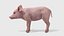 Piglet